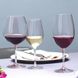 Набор бокалов для вина Schott Zwiesel Ivento 6 шт. x 783 мл. (115589) фото № 4